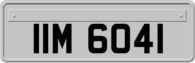 IIM6041