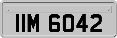 IIM6042