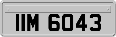 IIM6043