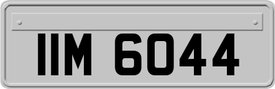 IIM6044