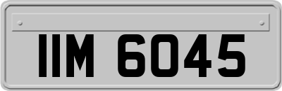 IIM6045