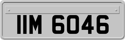 IIM6046
