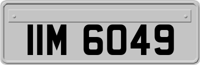 IIM6049