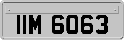 IIM6063