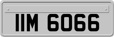 IIM6066