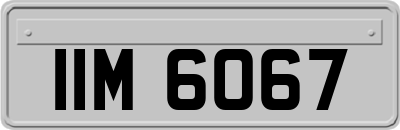 IIM6067