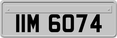 IIM6074