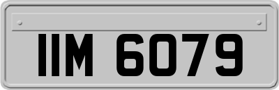 IIM6079