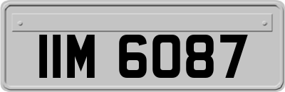 IIM6087