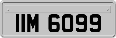 IIM6099