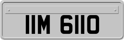 IIM6110