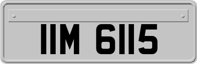 IIM6115