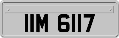 IIM6117