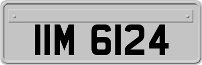 IIM6124