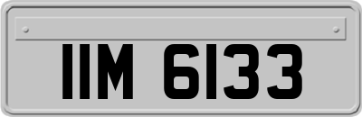 IIM6133