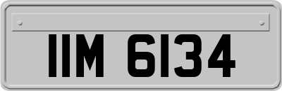 IIM6134