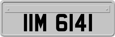 IIM6141
