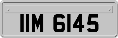 IIM6145
