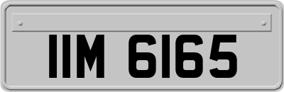 IIM6165