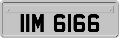 IIM6166