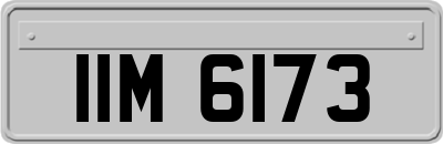 IIM6173