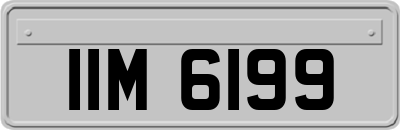 IIM6199