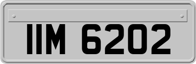 IIM6202