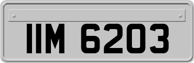 IIM6203