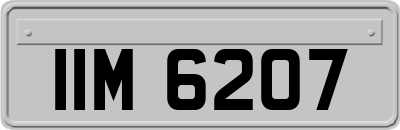 IIM6207