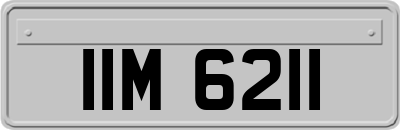 IIM6211