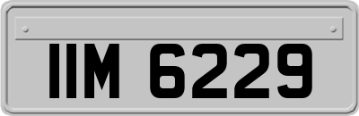 IIM6229