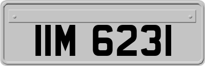 IIM6231