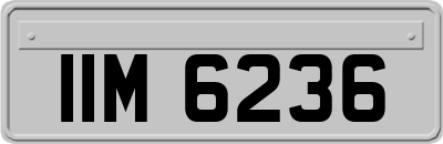 IIM6236
