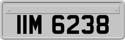 IIM6238