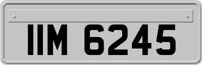 IIM6245