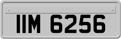 IIM6256