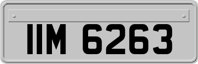 IIM6263