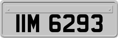 IIM6293