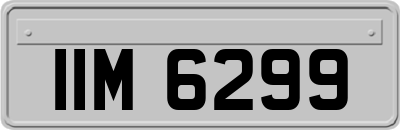 IIM6299