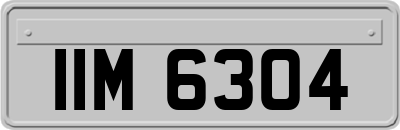 IIM6304