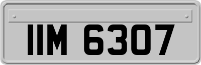 IIM6307