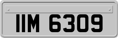 IIM6309