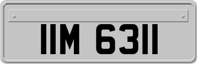 IIM6311
