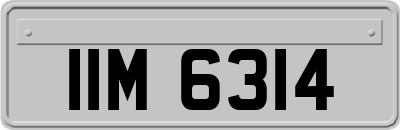 IIM6314
