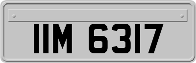 IIM6317