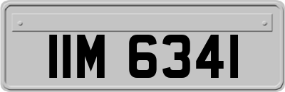 IIM6341