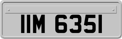 IIM6351
