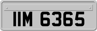 IIM6365