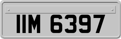 IIM6397