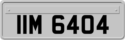 IIM6404